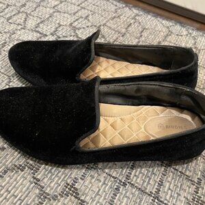 Birdies 8 The Starling